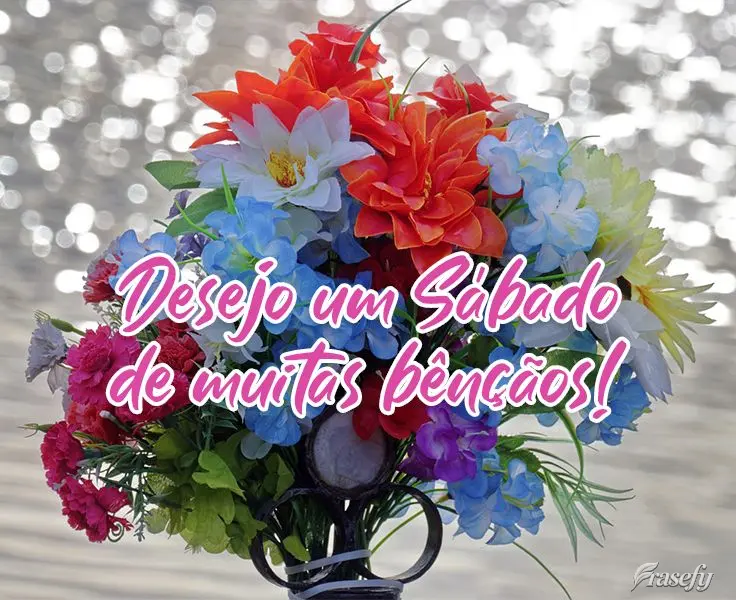 Desejo um Sábado de muitas bênçãos!
