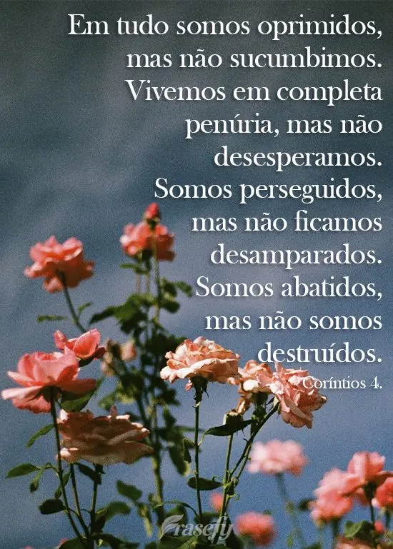 Em tudo somos oprimidos, mas não sucumbimos. Vivemos em completa penúria, mas não desesperamos. Somos perseguidos, mas não ficamos desamparados. Somo...