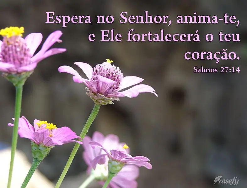 "Espera no Senhor, anima-te, e Ele fortalecerá o teu coração."  Salmos 27:14
