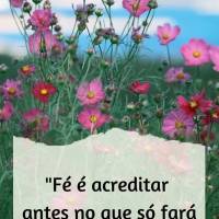 "Fé é acreditar ANTES no que só fará sentido DEPOIS." Steven Furtick