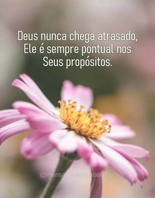 Deus nunca chega atrasado, Ele é sempre pontual nos Seus propósitos.