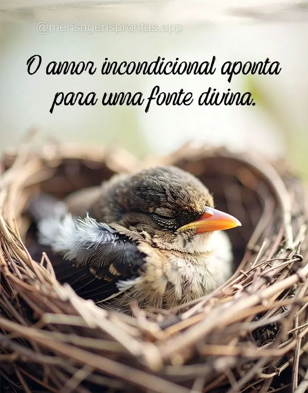 O amor incondicional aponta para uma fonte divina.