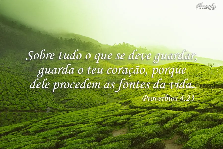 Sobre tudo o que se deve guardar, guarda o teu coração, porque dele procedem as fontes da vida.  Provérbios 4;23