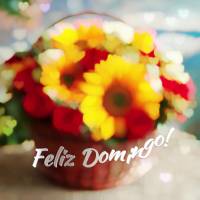 Feliz Domingo!