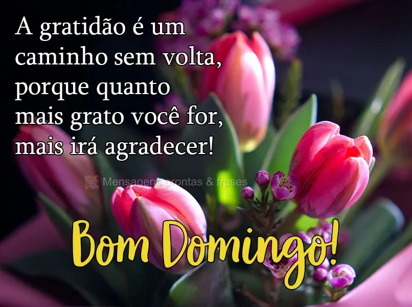 A gratidão é um caminho sem volta, porque quanto mais grato você for, mais irá agradecer! 
 Bom Domingo!