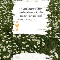 "A verdadeira viagem de descobrimento não consiste em procurar novas paisagens, mas em ter novos olhos." Feliz Domingo! Marcel Proust