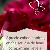 Aprecie coisas bonitas, encha seu dia de boas companhias, leve a vida sem rancor e se sentirá mais feliz! Feliz Domingo!
