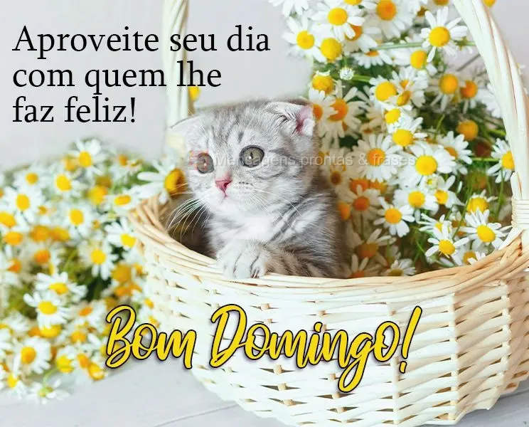 Aproveite seu dia com quem lhe faz feliz! 
 Bom Domingo!