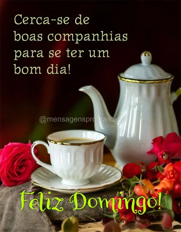 Cerca-se de boas companhias para se ter um bom dia! Feliz Domingo! 