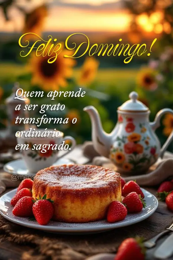 Quem aprende a ser grato transforma o ordinário em sagrado. Feliz Domingo!