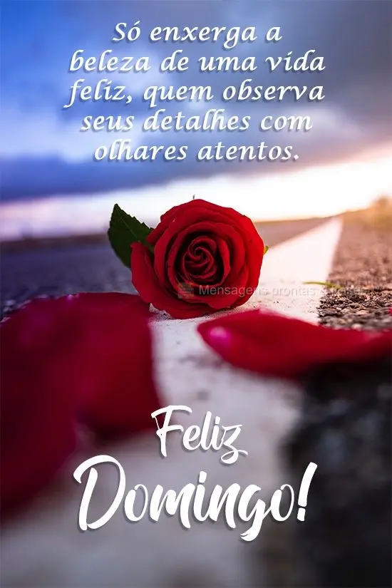 Só enxerga a beleza de uma vida feliz, quem observa seus detalhes com olhares atentos. 
 Feliz Domingo!