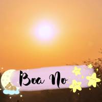 “E a paz de Deus, que excede todo o entendimento, guardará o vosso coração e a vossa mente em Cristo Jesus.”                                    Fi...