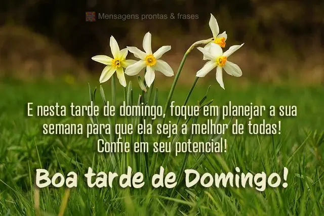 E nesta tarde de domingo, foque em planejar a sua semana para que ela seja a melhor de todas! Confie em seu potencial! 
 Boa tarde de Domingo!