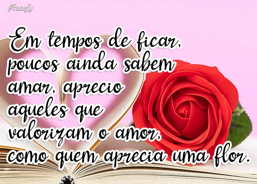 Em tempos de ficar, poucos ainda sabem amar, aprecio aqueles que valorizam o amor, como quem aprecia uma flor.
