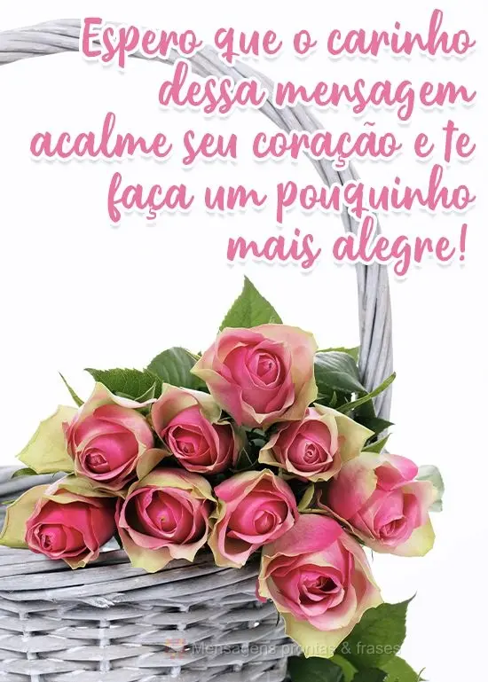 Espero que o carinho dessa mensagem acalme seu coração e te faça um pouquinho mais alegre!
