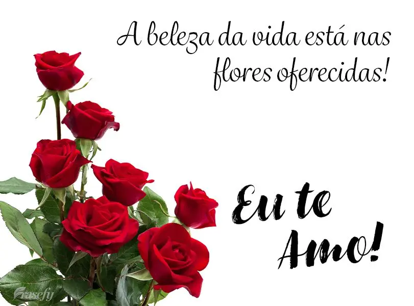 A beleza da vida está nas flores oferecidas! Eu te amo!