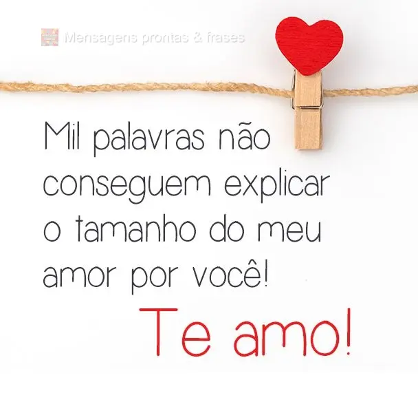 Mil palavras não conseguem explicar o tamanho do meu amor por você! 
 Te amo!
