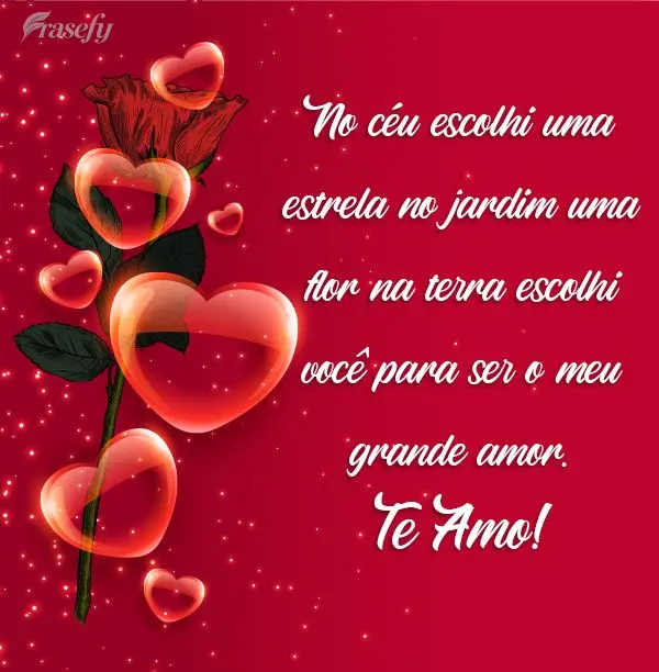 No céu escolhi uma estrela. No jardim, uma flor. Na terra escolhi você para ser o meu grande amor! Te Amo!