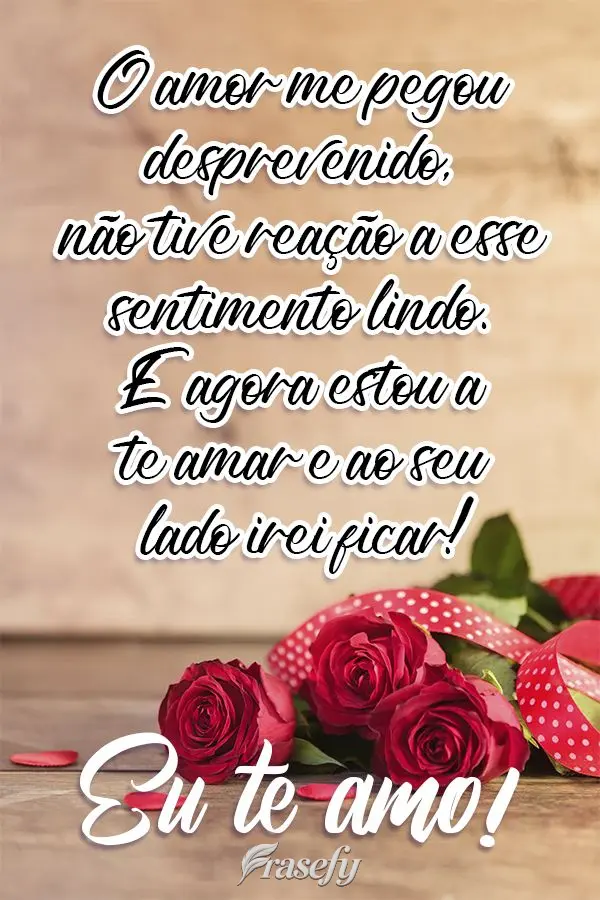 O amor me pegou desprevenido, não tive reação a esse sentimento lindo. E agora estou a te amar, ao seu lado irei ficar!  Eu te amo!