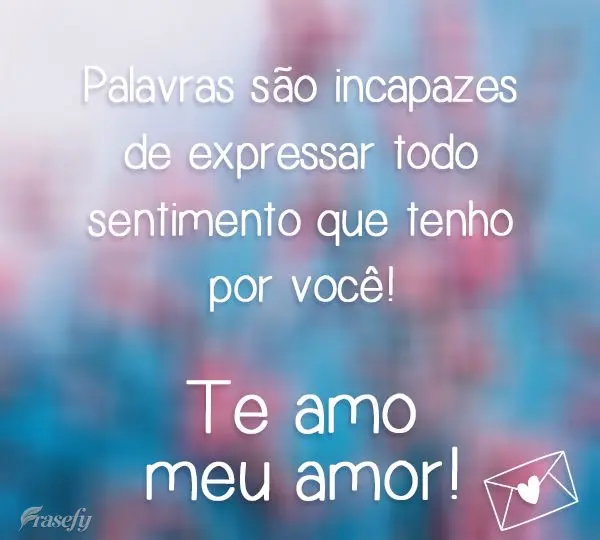 Palavras são incapazes de expressar todo sentimento que tenho por você!  Te amo meu amor! 