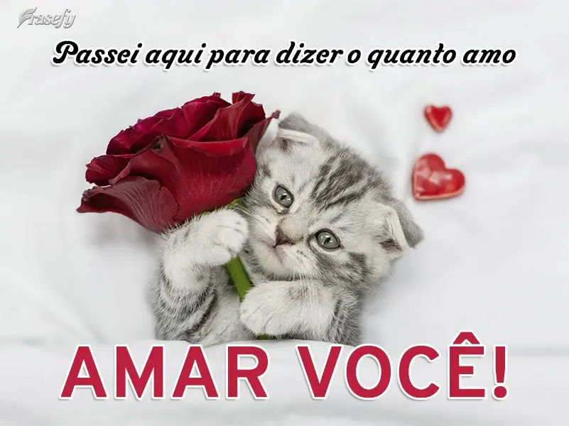 Passei aqui para dizer o quanto amo amar você!