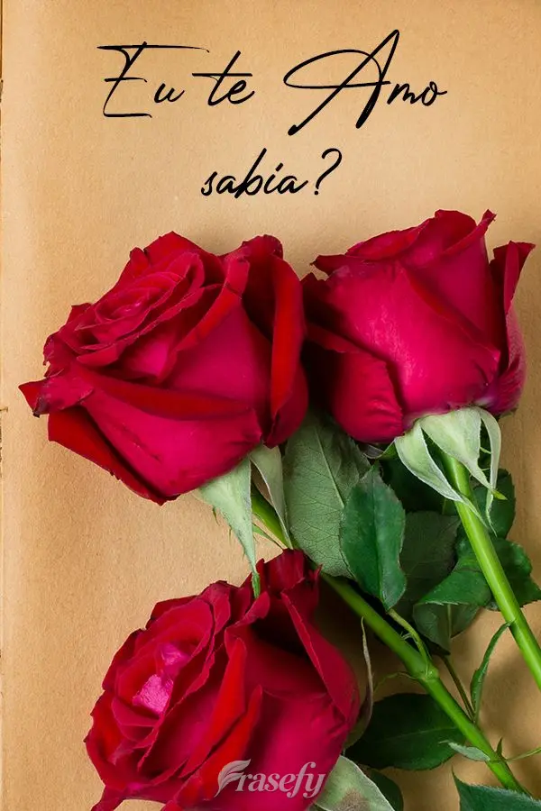 Eu te amo, sabia!?