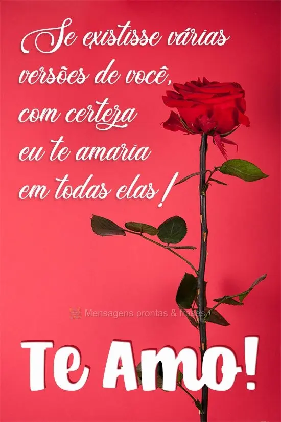 Se existissem várias versões de você, com certeza eu te amaria em todas elas! 
 Te Amo!