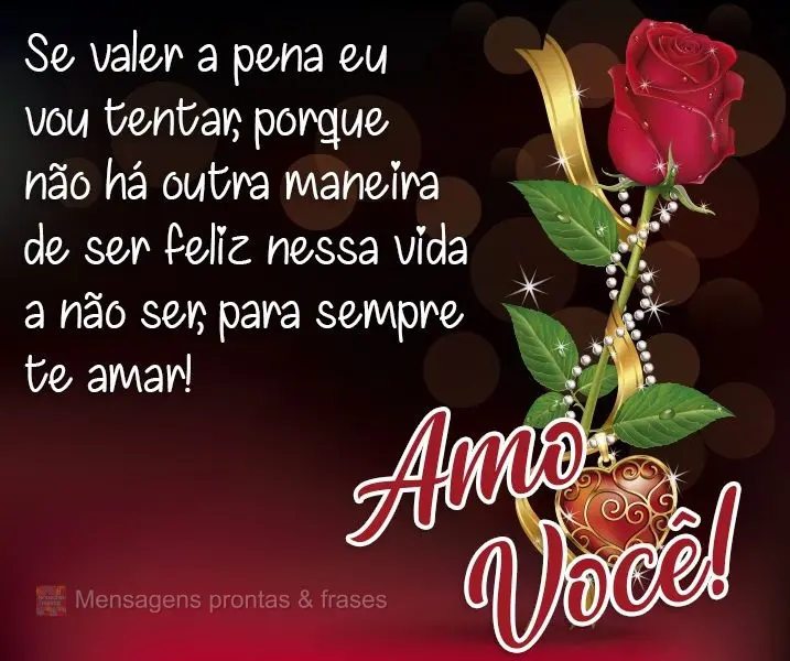 Se valer a pena eu vou tentar, porque não há outra maneira de ser feliz nessa vida a não ser para sempre te amar! 
 Eu amo você!