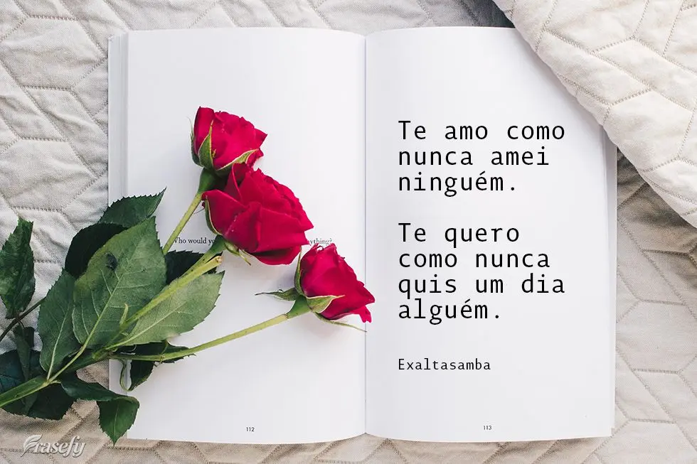 Te amo como nunca amei ninguém. Te quero como nunca quis um dia alguém. 
 Exaltasamba