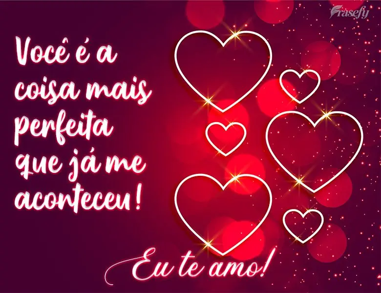 Você é a coisa mais perfeita que já me aconteceu! 
 Eu te amo!