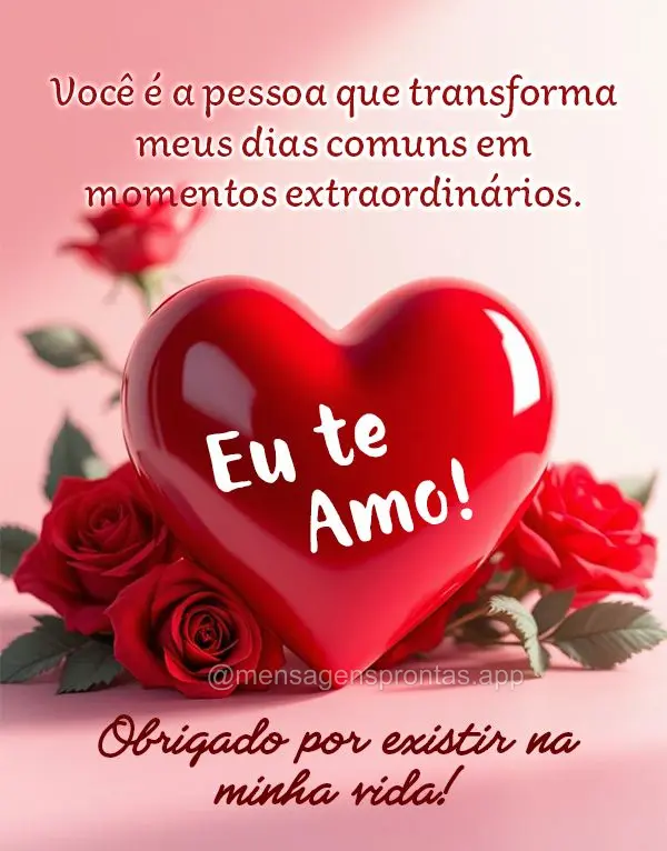 Você é a pessoa que transforma meus dias comuns em momentos extraordinários. Obrigado por existir na minha vida! Eu te Amo!