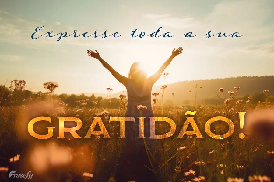 Expresse toda a sua gratidão!