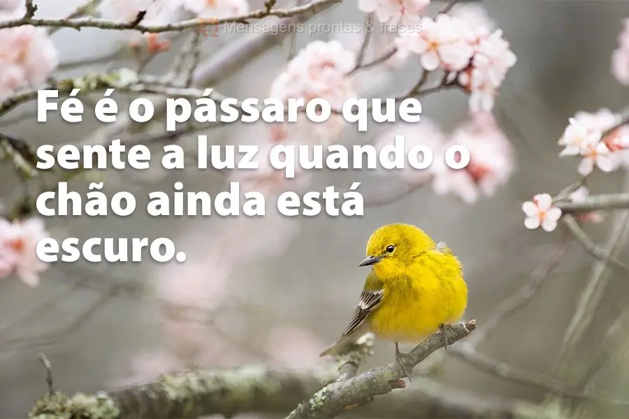 Fé é o pássaro que sente a luz quando o chão ainda está escuro.
