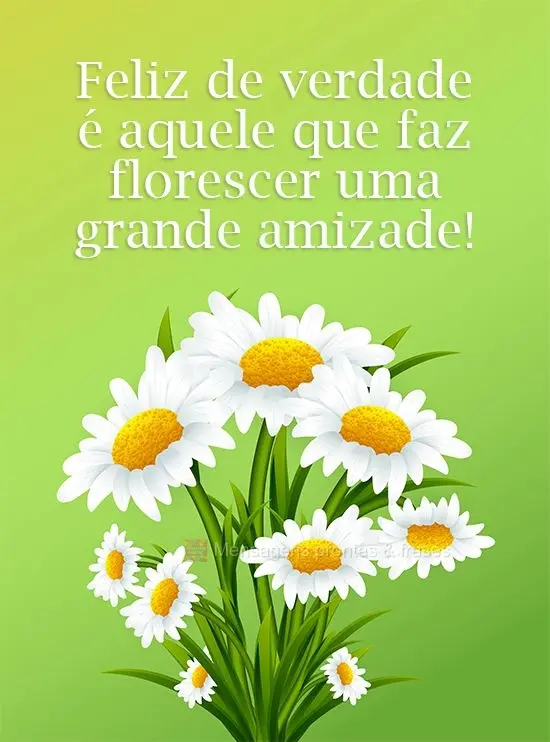 Feliz de verdade é aquele que faz florescer uma grande amizade!
