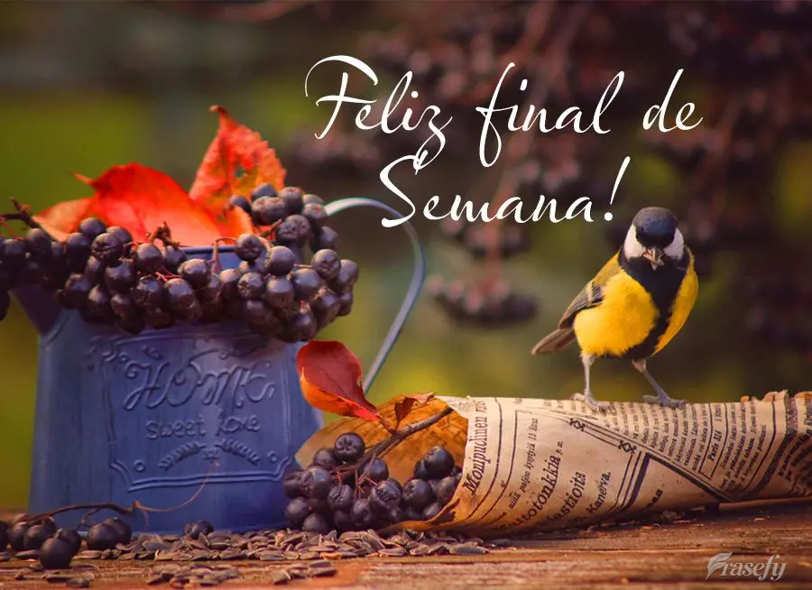 Feliz final de semana!