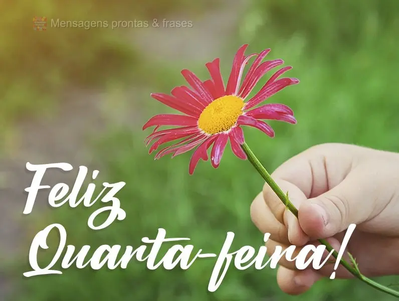 Feliz Quarta-feira!
