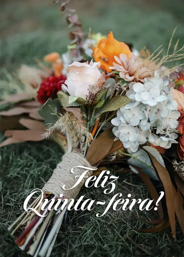 Feliz Quinta-feira!