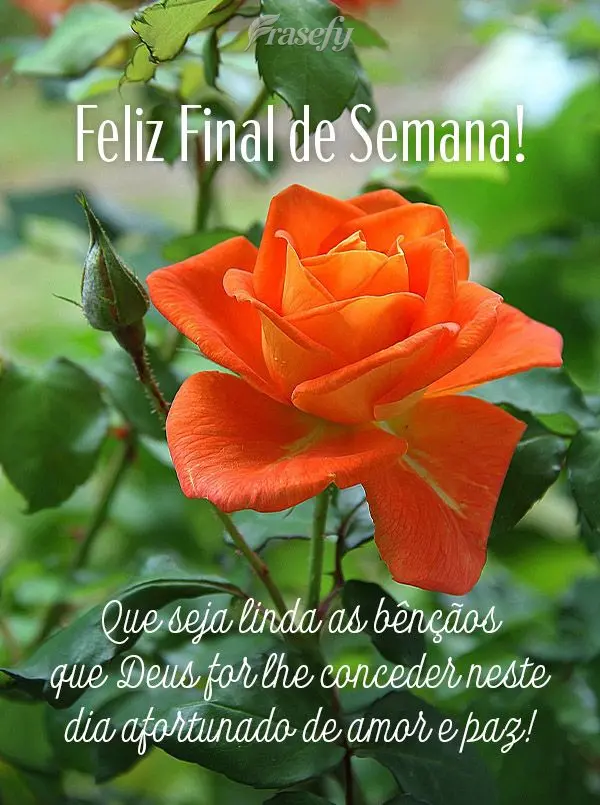 Que seja linda as bênçãos que Deus for lhe conceder neste dia afortunado de amor e paz! Final de Semana! 