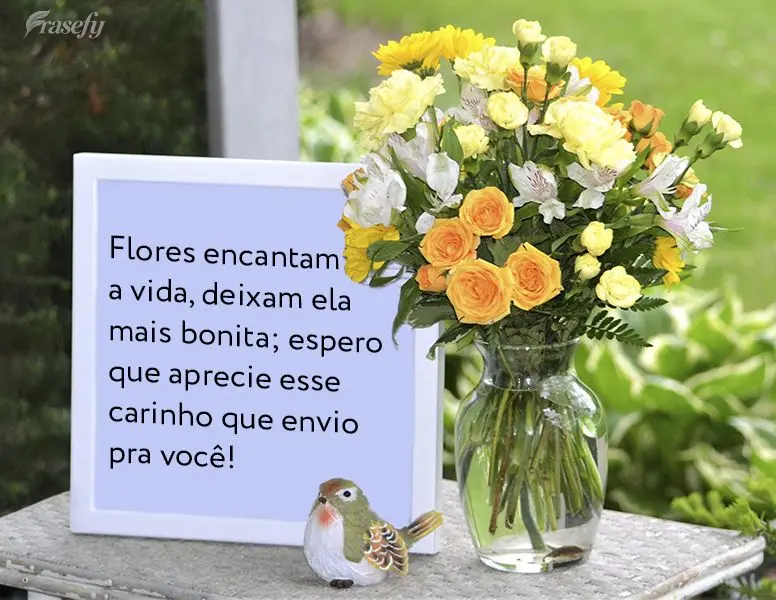 Flores encantam a vida, deixam ela mais bonita. Espero que aprecie esse carinho que envio pra você!