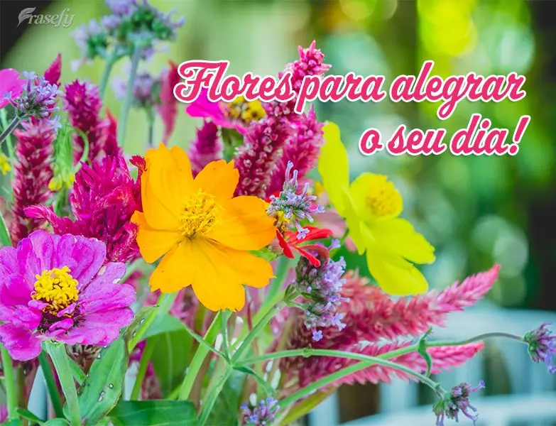 Flores para alegrar o seu dia!