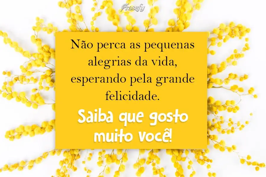 Não perca as pequenas alegrias da vida, esperando pela grande felicidade. 
 Saiba que gosto muito você!