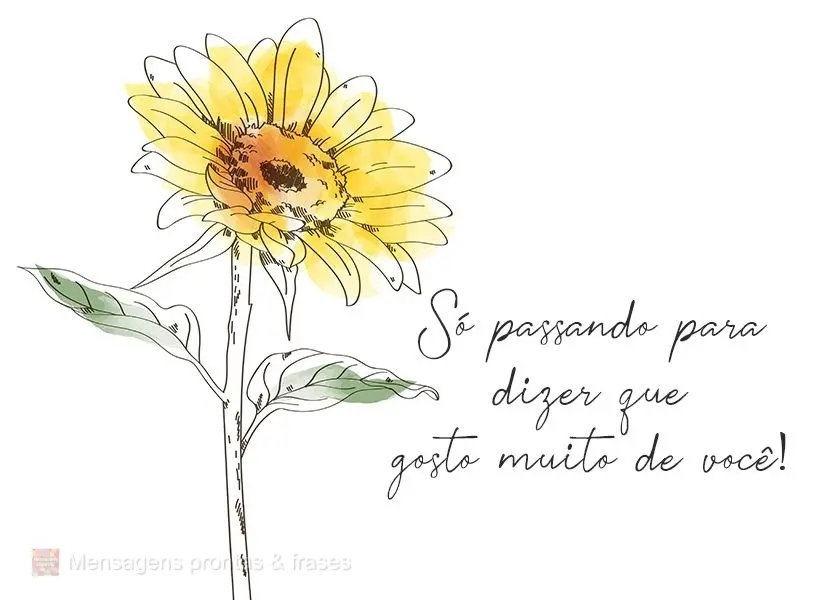 Só passando para dizer que gosto muito de você!
