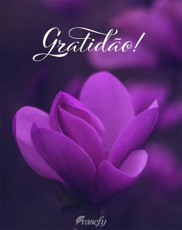 Gratidão!
