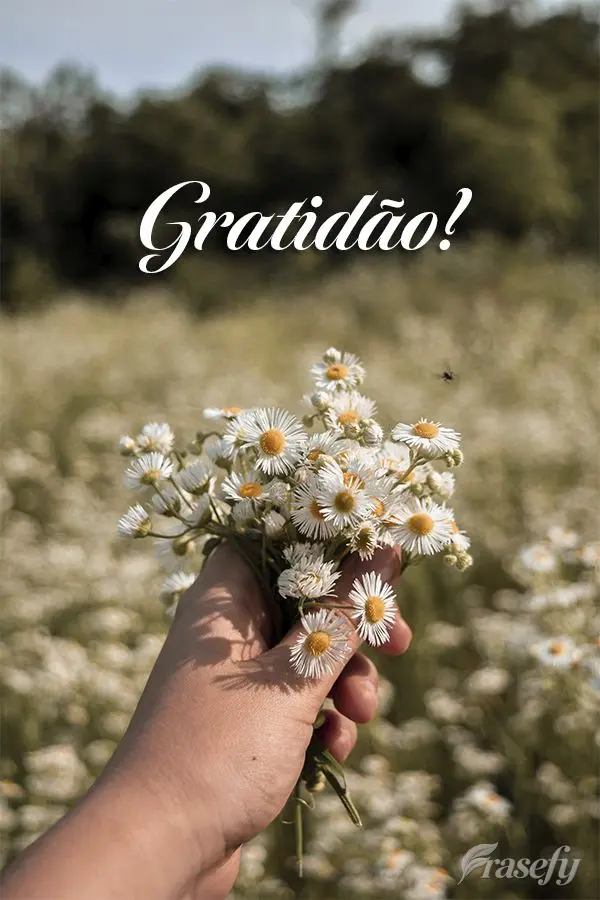 Gratidão!
