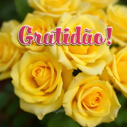 Gratidão!