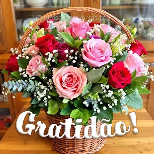 Gratidão!