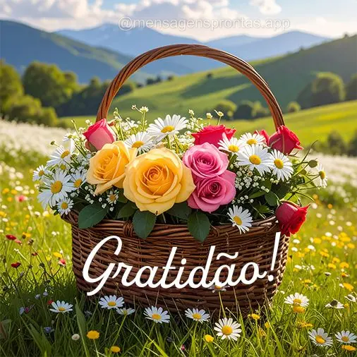Gratidão!