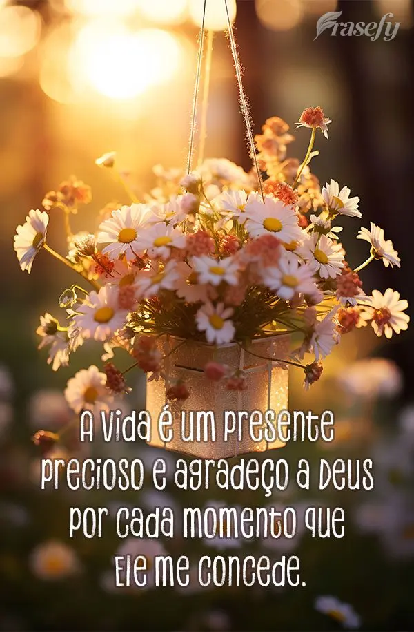 A vida é um presente precioso e agradeço a Deus por cada momento que Ele me concede.
