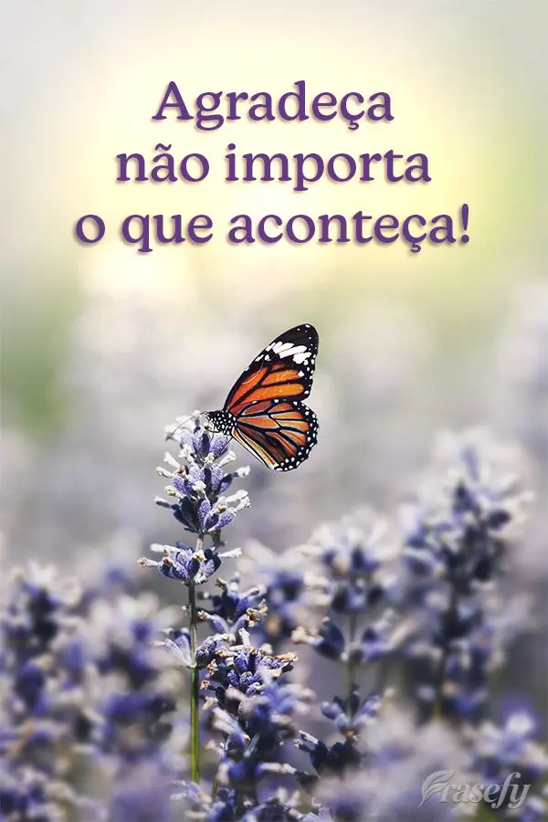 Agradeça não importa o que aconteça!