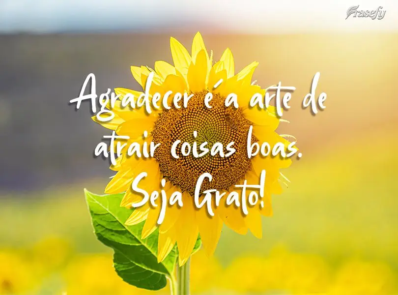 Agradecer é a arte de atrair coisas boas.
  Seja Grato!